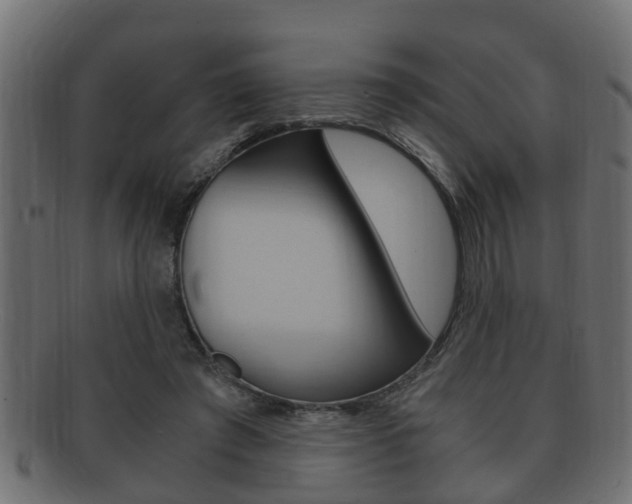 X0000092330401200709141122