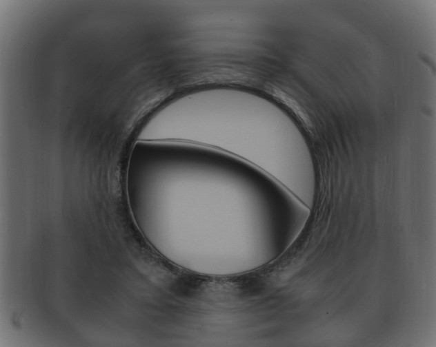 X0000092330403200709141121