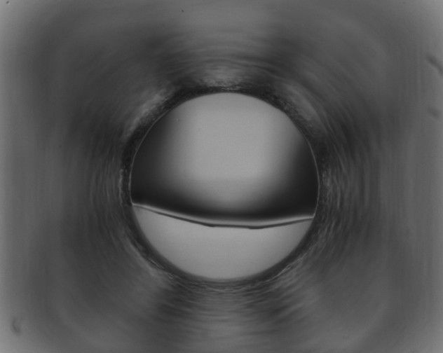 X0000092330404200709141121