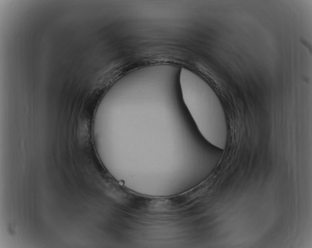 X0000092330410200709141121