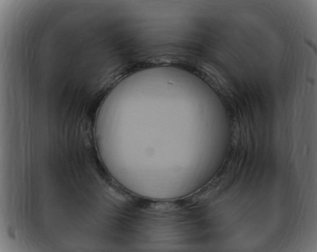 X0000092330414200709141121