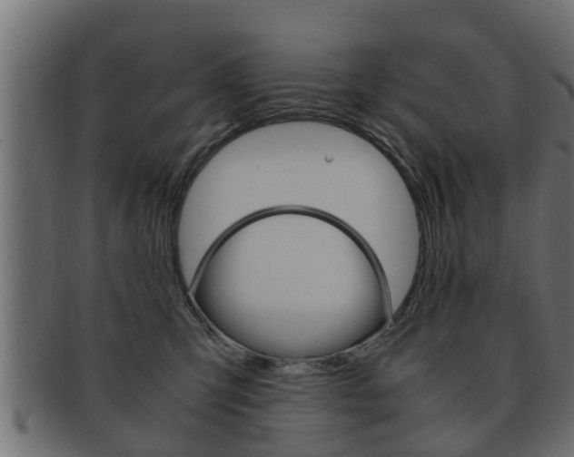X0000092330423200709141121