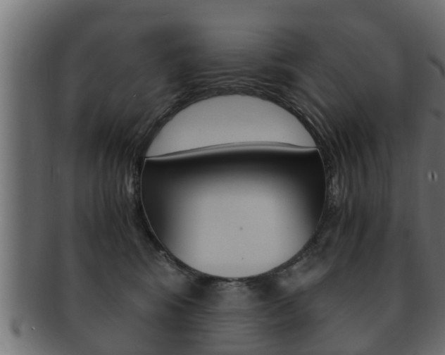 X0000092330424200709141121