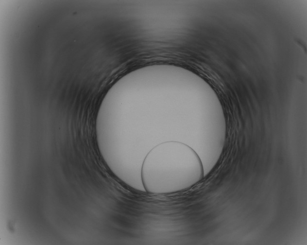 X0000092330425200709141121