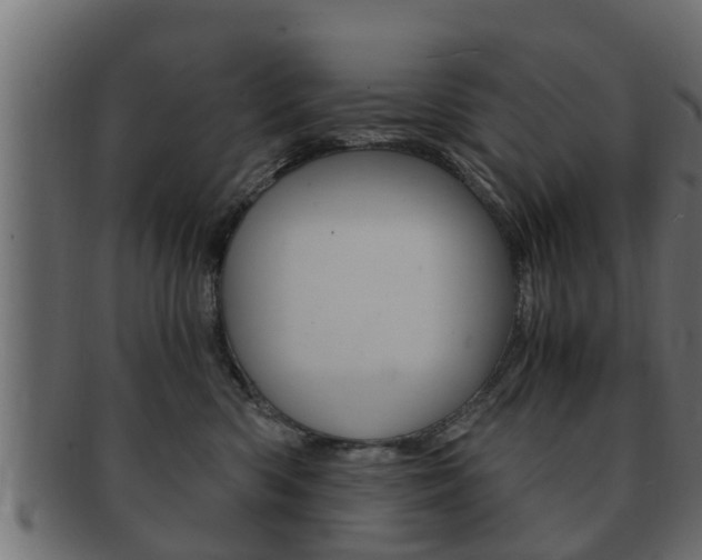 X0000092330426200709141121