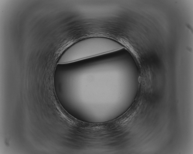 X0000092330433200709141120