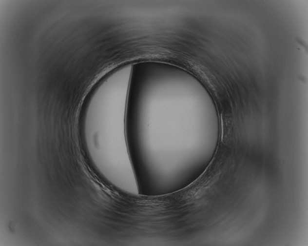 X0000092330435200709141120