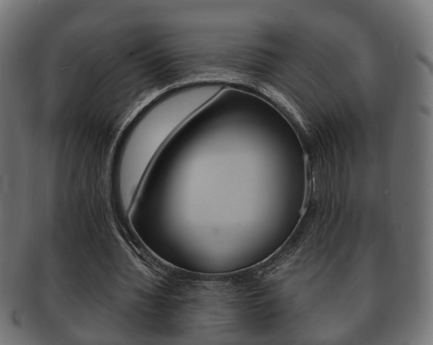 X0000092330436200709141120