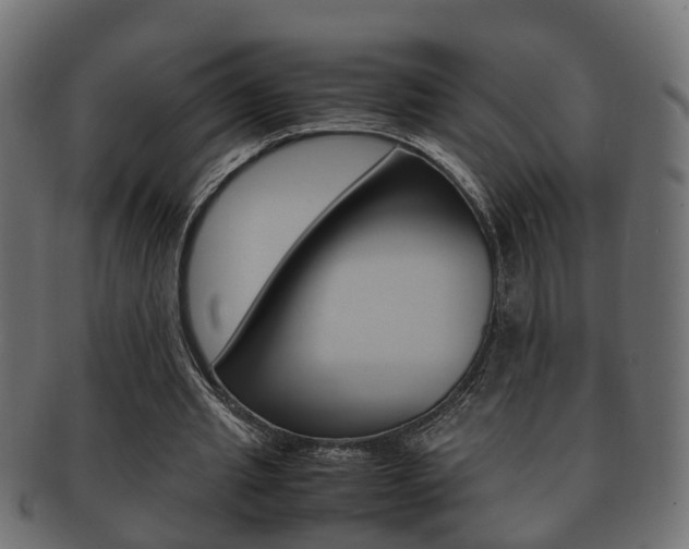 X0000092330437200709141120
