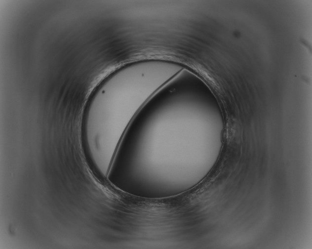 X0000092330438200709141120