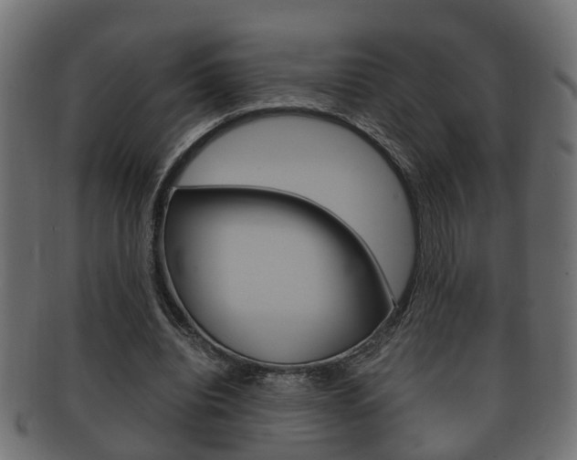 X0000092330440200709141120