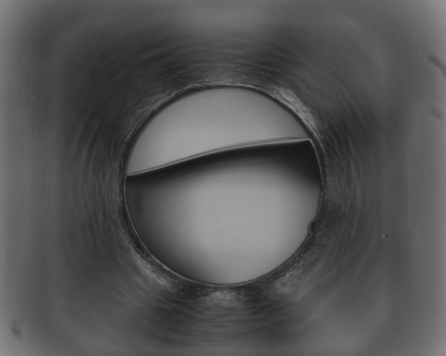 X0000092330441200709141120