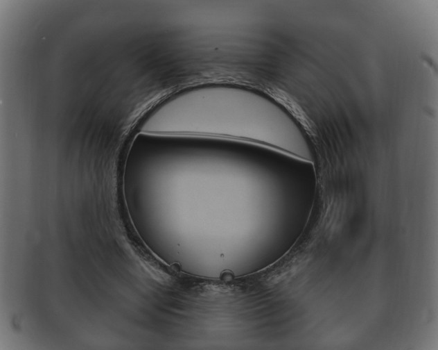 X0000092330442200709141121