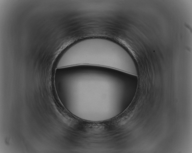 X0000092330443200709141121