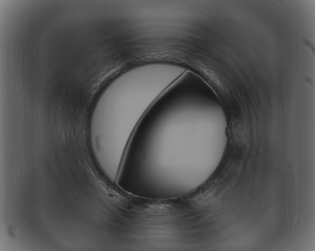 X0000092330450200709141121