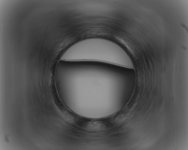 X0000092330451200709141121