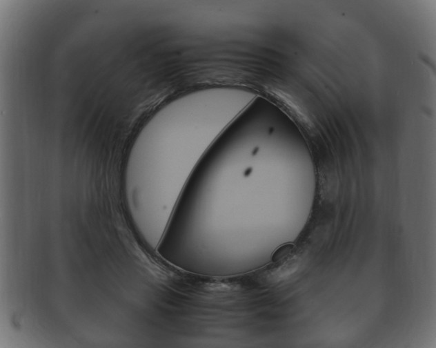 X0000092330453200709141121