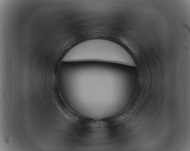 X0000092330459200709141121