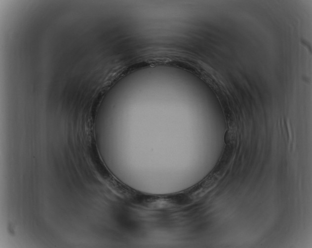 X0000092330460200709141121