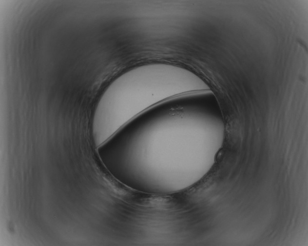 X0000092330462200709141121