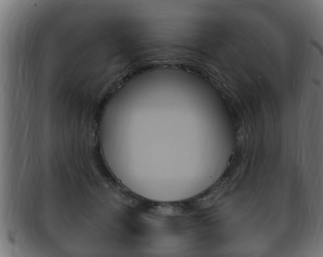 X0000092330464200709141121