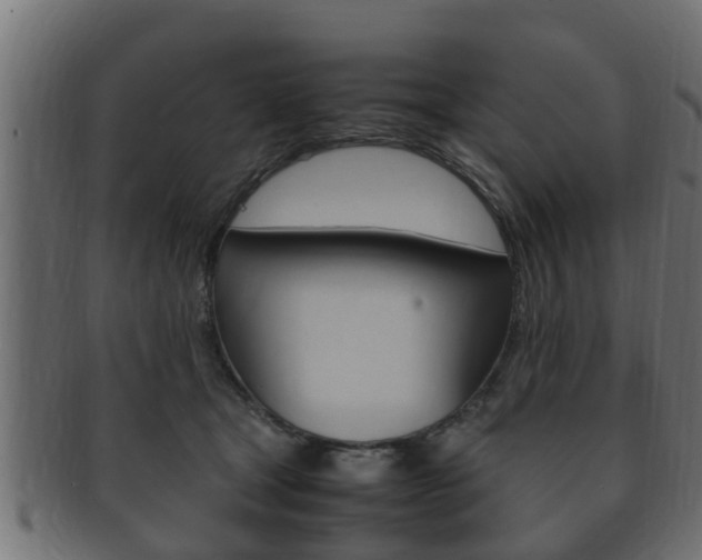 X0000092330465200709141121