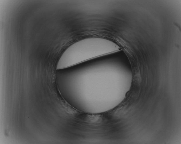 X0000092330469200709141121