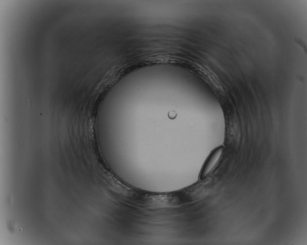X0000092330473200709141121