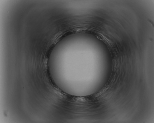 X0000092330475200709141121