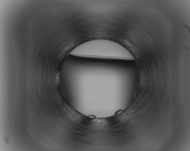 X0000092330477200709141121