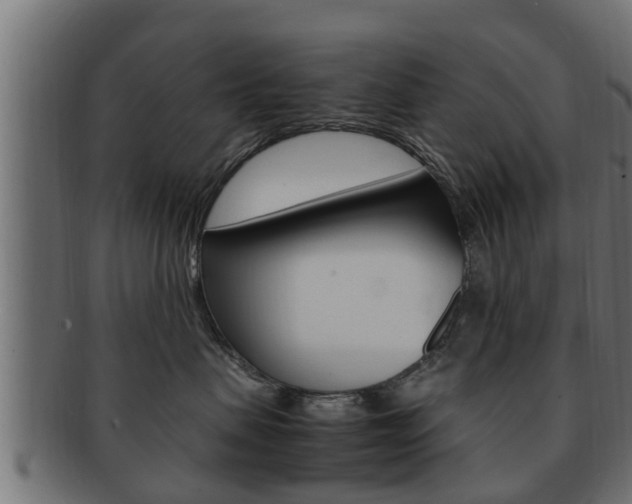 X0000092330479200709141121