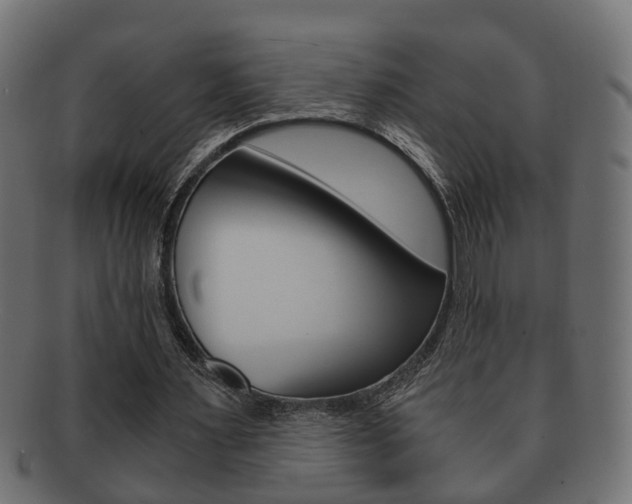 X0000092330483200709141120