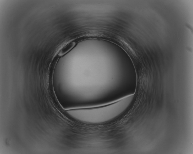 X0000092330484200709141120