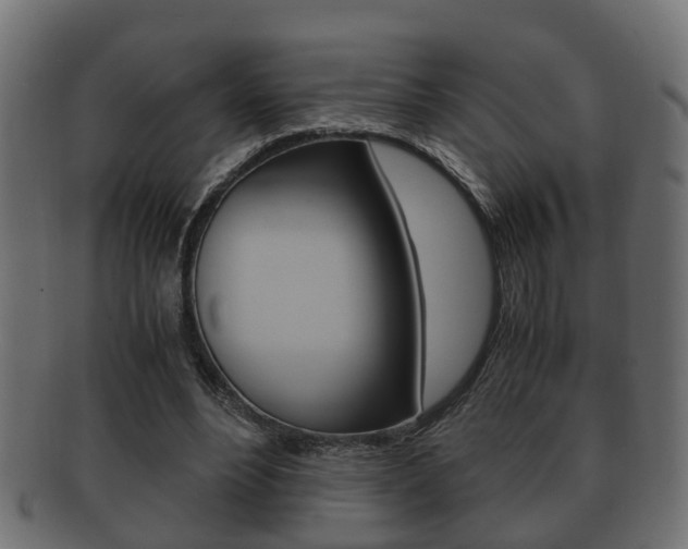 X0000092330488200709141120