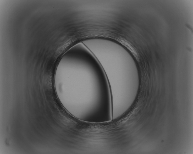 X0000092330489200709141120