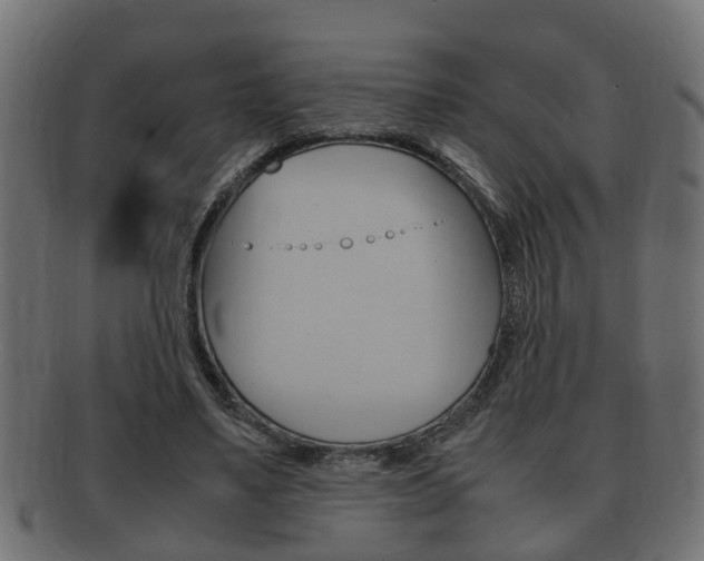 X0000092330491200709141120
