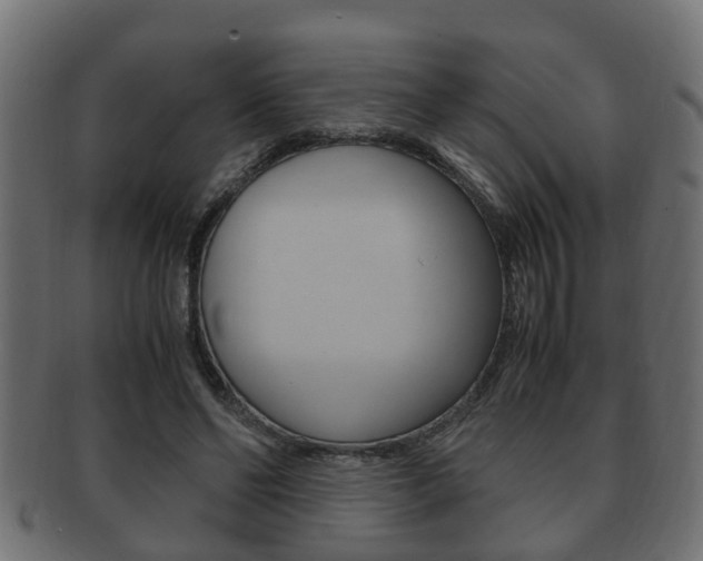 X0000092330494200709141120