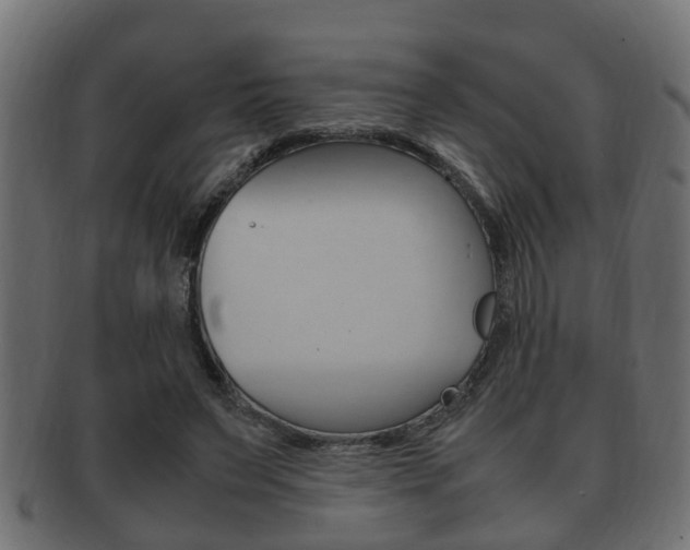 X0000092330495200709141120
