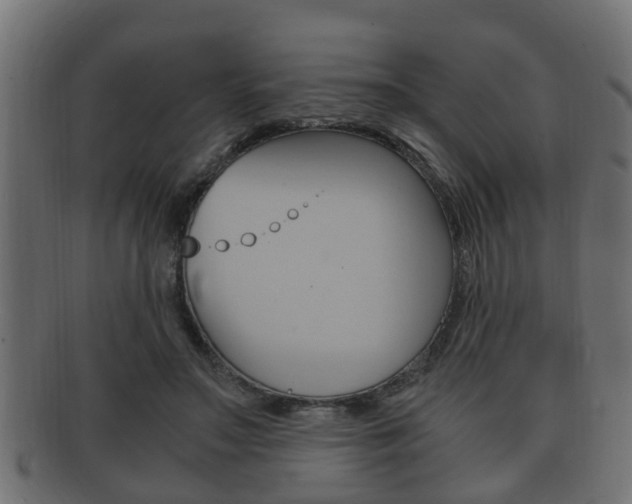 X0000092330499200709141120