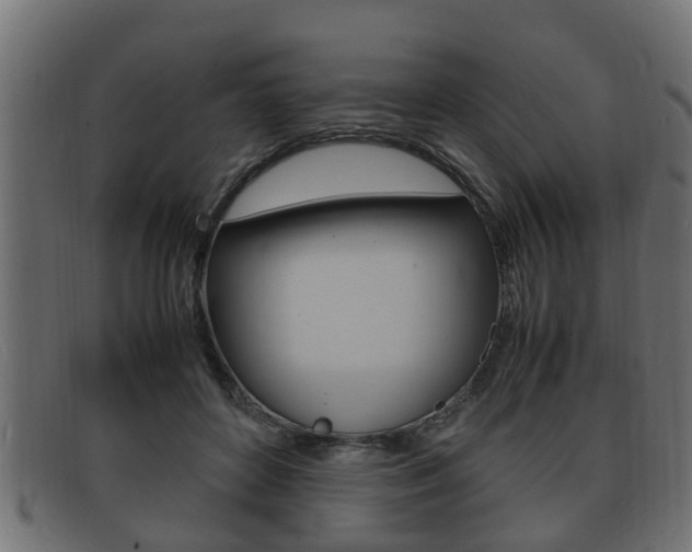 X0000092330504200709141120
