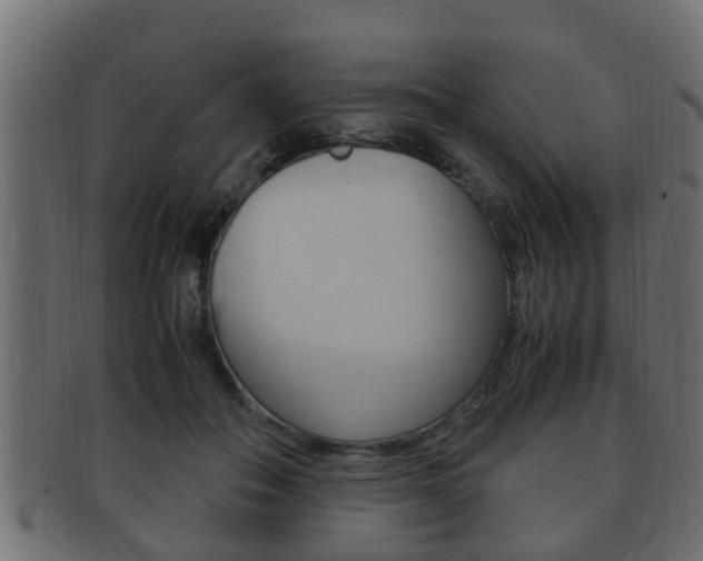 X0000092330506200709141120