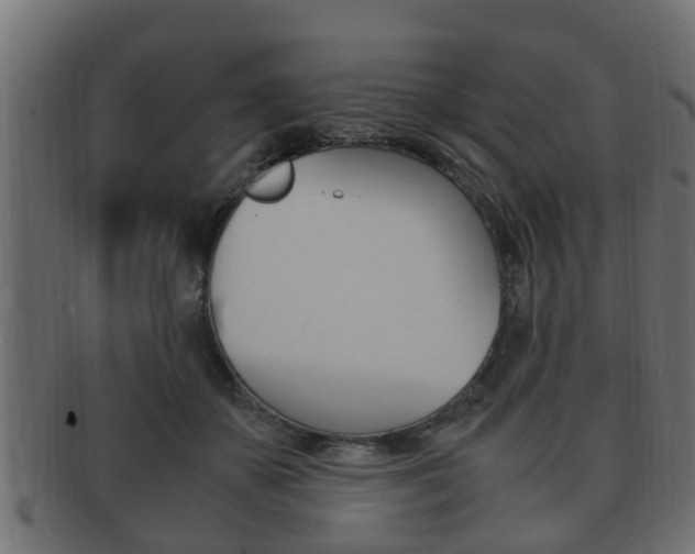 X0000092330507200709141120