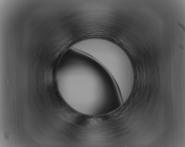 X0000092330508200709141120
