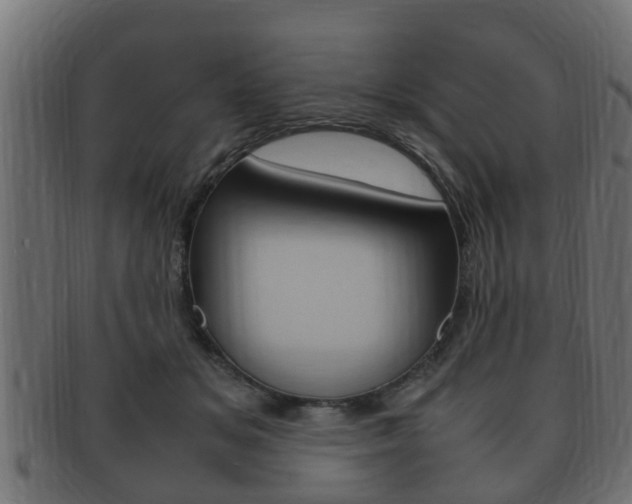 X0000092330509200709141120