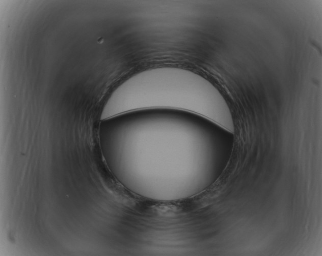 X0000092330512200709141120