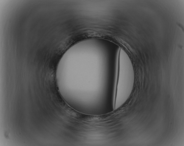 X0000092330513200709141120