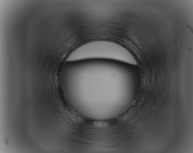 X0000092330520200709141120