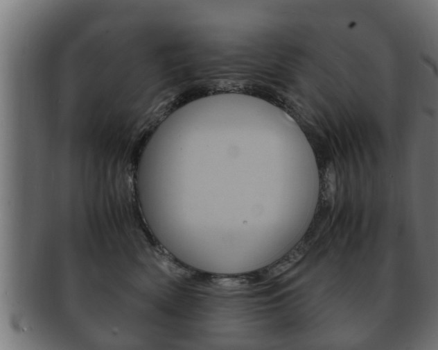X0000092330522200709141120
