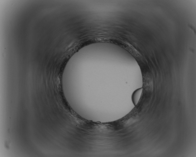 X0000092330523200709141120