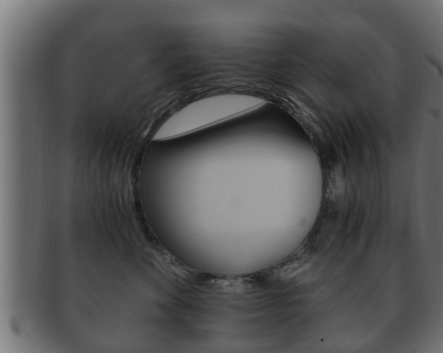 X0000092330524200709141120